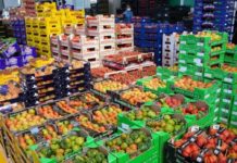 A Roma confronto su food policy, biologico e futuro del cibo A Roma confronto su food policy, biologico e futuro del cibo