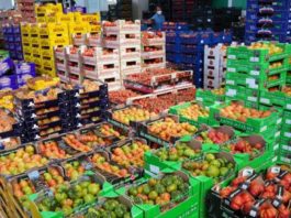 A Roma confronto su food policy, biologico e futuro del cibo