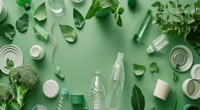 Commissione Ue chiede chiarimenti sul decreto italiano sugli imballaggi compostabili Bioplastiche compostabili: il settore deve aggiornare il proprio modello di business Commissione Ue boccia decreto italiano imballaggi compostabili