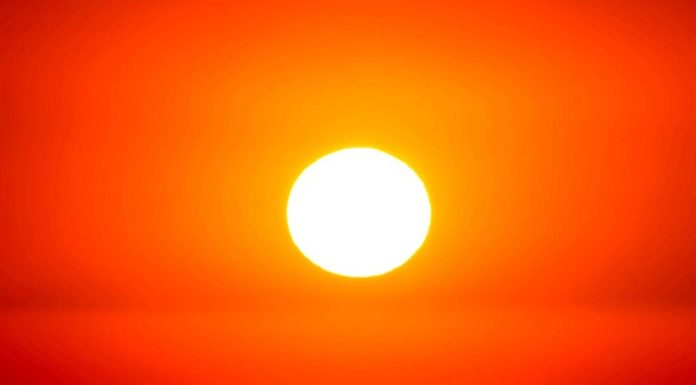Roma, bollino rosso per il caldo fino al 24 giugno Bologna 15 giugno piano contro ondate calore Caldo, anche in Campania un'ordinanza per tutelare i lavoratori Roma bollino rosso 24 giugno