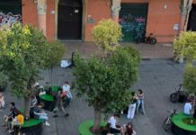 Bologna, piano per aumentare il verde nel centro storico tra nuovi alberi e riqualificazioni Bologna aumentare verde centro storico