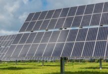 Campania, nuove regole per l’agrivoltaico: più tutele per la continuità agricola Campania nuove regole agrivoltaico