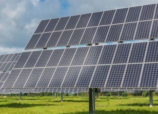 Campania, nuove regole per l’agrivoltaico: più tutele per la continuità agricola Campania nuove regole agrivoltaico