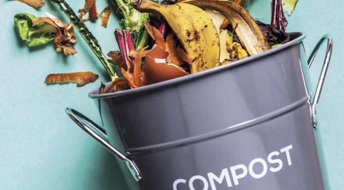 Accordo sul compostaggio, il CIC: “Passo concreto per agricoltura ed economia circolare” Compost plastiche microplastiche Accordo compostaggio CIC economia circolare