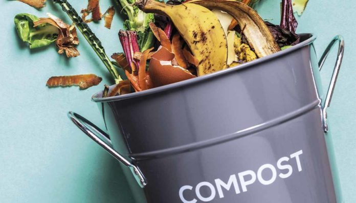 Compost plastiche microplastiche