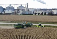 Crisi energetica: cresce domanda di biocarburanti, salgono i prezzi del cibo Crisi energetica: cresce domanda di biocarburanti, salgono i prezzi del cibo