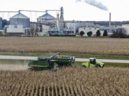 Crisi energetica: cresce domanda di biocarburanti, salgono i prezzi del cibo