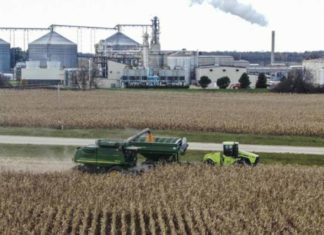 Crisi energetica: cresce domanda di biocarburanti, salgono i prezzi del cibo Crisi energetica: cresce domanda di biocarburanti, salgono i prezzi del cibo