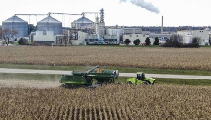 Crisi energetica: cresce domanda di biocarburanti, salgono i prezzi del cibo