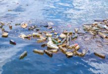 Milano, apre il Museo della Plastica con i “reperti” del Delta del Po Milano, apre il Museo della Plastica con i "reperti" del Delta del Po