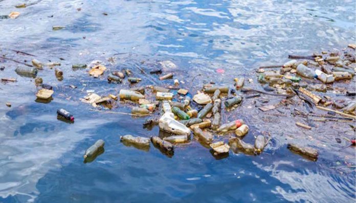 Milano, apre il Museo della Plastica con i "reperti" del Delta del Po