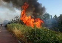 Roma, ordinanza contro incendi e caldo: misure attive fino al 30 ottobre Roma ordinanza incendi caldo
