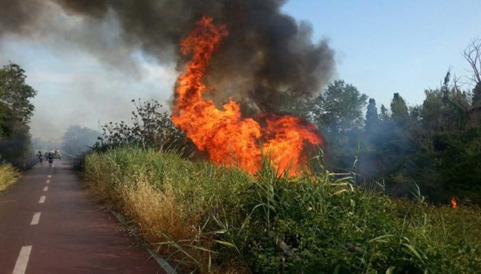 Roma ordinanza incendi caldo Roma ordinanza incendi caldo