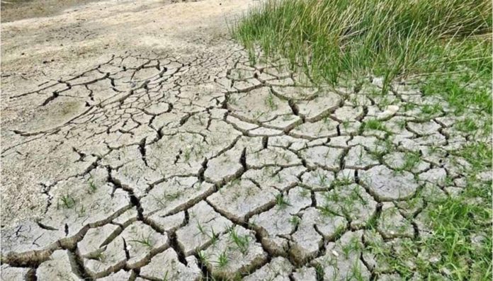 Suolo a rischio: così le aziende agricole innovative lo stanno “salvando”