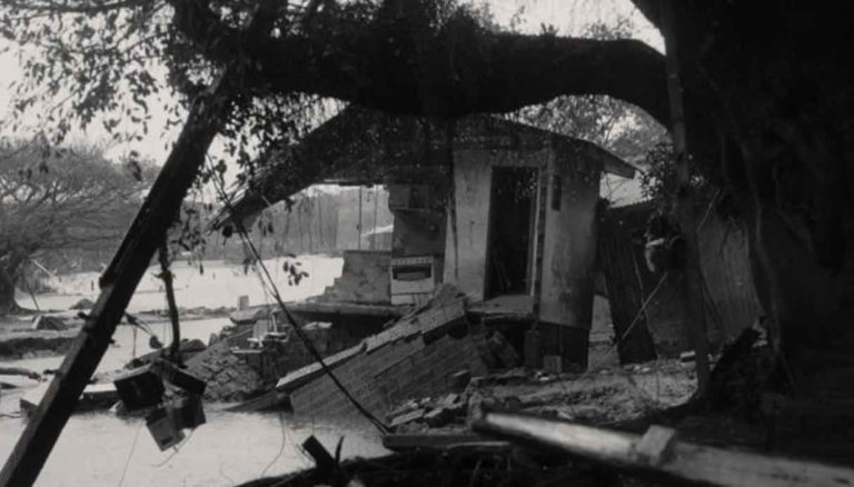 Torino, ecco i vincitori del 29° Festival CinemAmbiente