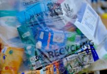 Bioeconomia circolare, Roma Tre lancia un osservatorio Osservatorio bioeconomia circolare
