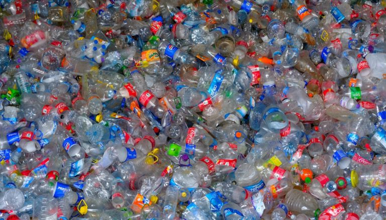 materie prime bio-based Riciclo plastica Emilia-Romagna Governo