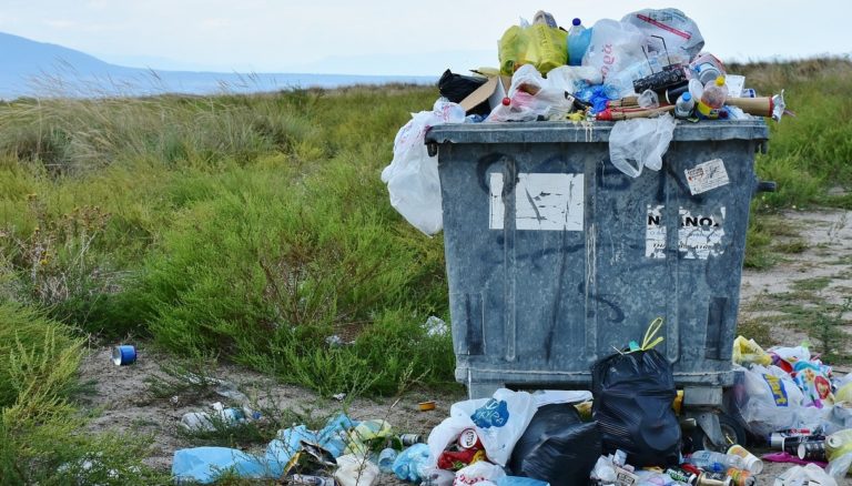 Plastic Free e Isde ancora insieme contro i rischi dell’inquinamento da plastica