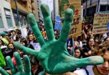 Giornata Ambiente, questionario Wwf: ‘Crisi climatica è già qui: cosa sta cambiando per te?’ questionario wwf