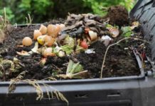 Accordo per una filiera italiana di compostaggio da rifiuti Accordo per una filiera italiana di compostaggio da rifiuti