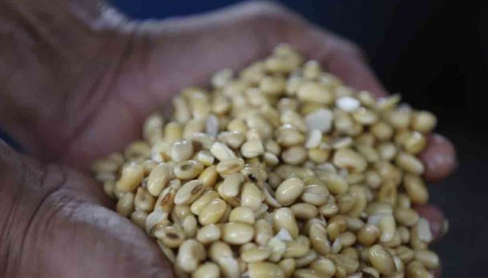 Considerare i biocarburanti rinnovabili potrebbe esporre l’Ue a sanzioni miliardarie