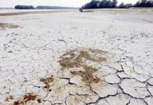 Crisi idrica Lombardia, Wwf: situazione drammatica, necessarie misure urgenti Crisi idrica Lombardia, Wwf: situazione drammatica, necessarie misure urgenti