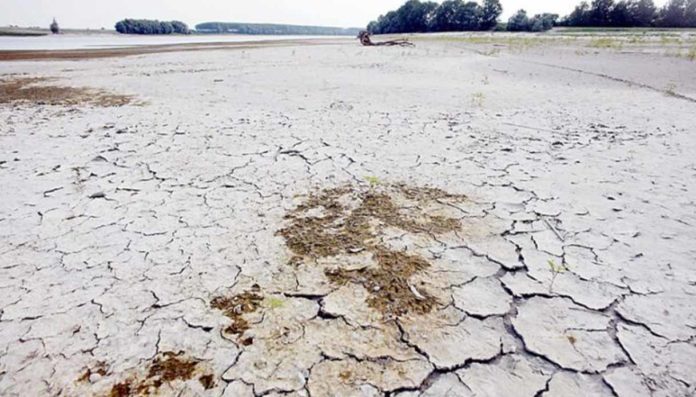 Crisi idrica Lombardia, Wwf- situazione drammatica, necessarie misure urgenti Crisi idrica Lombardia, Wwf: situazione drammatica, necessarie misure urgenti