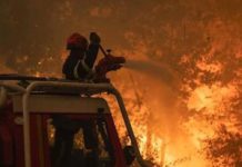 Incendi e crisi climatica, Greenpeace: tassare le aziende fossili per finanziare la transizione Incendi e crisi climatica, Greenpeace: tassare le aziende fossili per finanziare la transizione