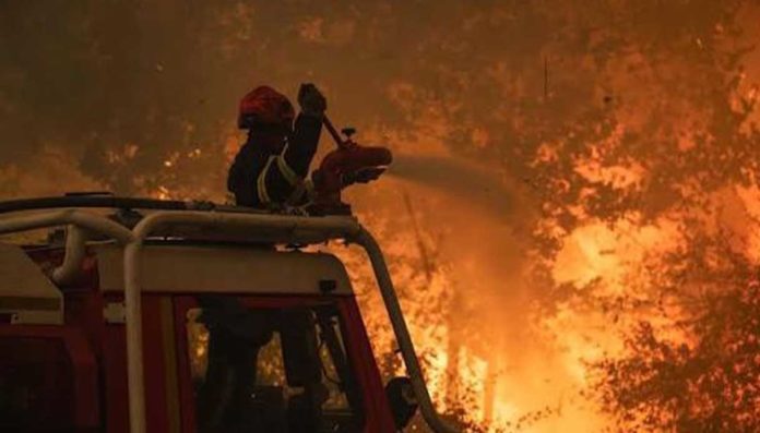 Incendi e crisi climatica, Greenpeace: tassare le aziende fossili per finanziare la transizione