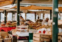 Milano, nei mercati cittadini una campagna per migliorare la raccolta dell’organico Milano raccolta differenziata mercati
