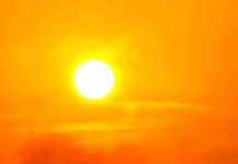 Ondate di calore: le dieci proposte del Coordinamento Free Ondate di calore: le dieci proposte del Coordinamento Free