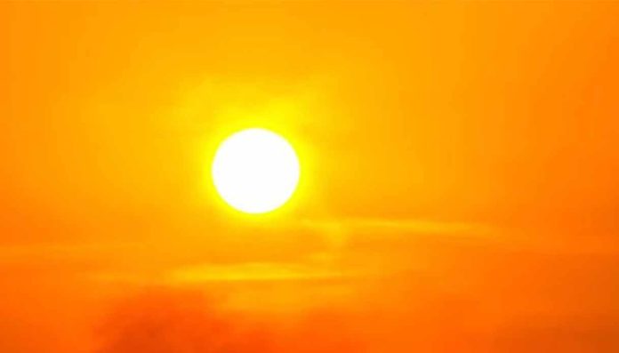 Ondate di calore- le dieci proposte del Coordinamento Free Ondate di calore: le dieci proposte del Coordinamento Free