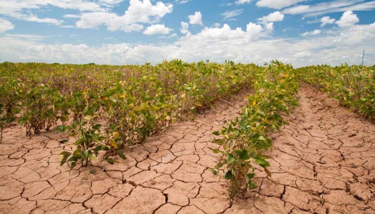 Siccità Coldiretti Torino 30 milioni danni agricoltura Piemonte stato emergenza regionale crisi idrica