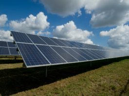 Ipsos, 69% degli italiani ok a impianti eolici o fotovoltaici vicino casa Ipsos