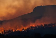 Incendi, la crisi climatica anticipa sempre più i roghi Incendi