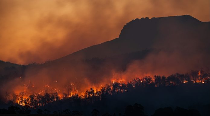 Incendi, la crisi climatica anticipa sempre più i roghi Incendi