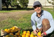Bioeconomia e reinserimento sociale: si chiude il progetto di Novamont e Terra Felix Bioeconomia reinserimento sociale Novamont
