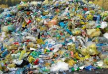 Crisi plastica Puglia: impianti saturi e raccolte bloccate, aperti tavoli d’emergenza Crisi plastica Puglia: impianti saturi e raccolte bloccate, aperti tavoli d’emergenza