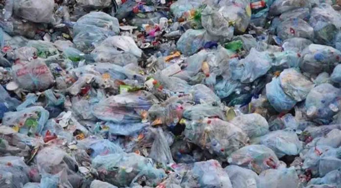 Crisi plastica, in Sardegna nuova area di stoccaggio ad Olbia Crisi plastica, in Sardegna nuova area di stoccaggio ad Olbia