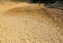 Europa nella morsa del caldo: estate 2026 da record tra siccità, incendi e mari bollenti Europa caldo estate 2026