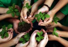 Genova, il Comune cerca realtà per il Catalogo CEAS sull’educazione ambientale Genova, il Comune cerca realtà per il Catalogo CEAS sull’educazione ambientale Genova Catalogo CEAS educazione ambientale