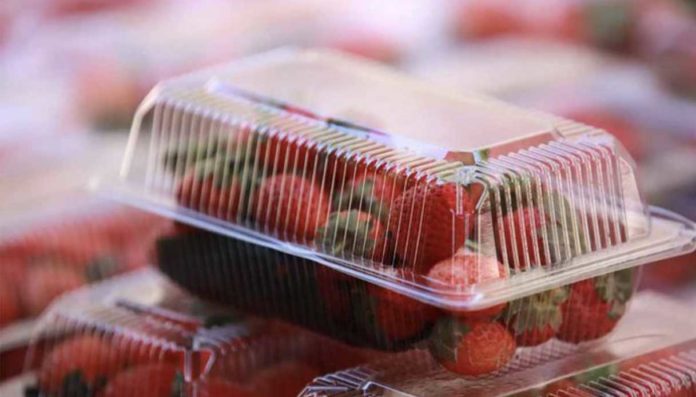 Governo Meloni impone obbligo di compostabilità per alcuni imballaggi