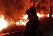 Incendi: in Italia +133% rispetto alla media degli ultimi 20 anni Incendi: in Italia +133% rispetto alla media degli ultimi 20 anni