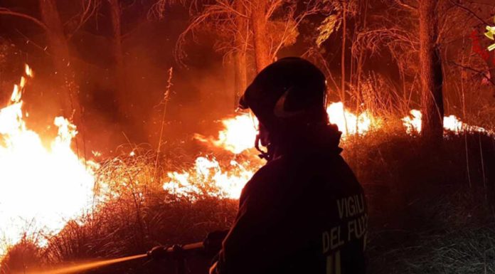 Incendi: in Italia +133% rispetto alla media degli ultimi 20 anni Incendi: in Italia +133% rispetto alla media degli ultimi 20 anni