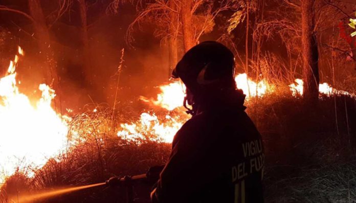 Incendi- in Italia +133% rispetto alla media degli ultimi 20 anni Incendi: in Italia +133% rispetto alla media degli ultimi 20 anni
