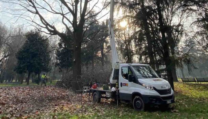 Milano, Legambiente: “Il Piano del Verde deve incidere sul futuro della città”