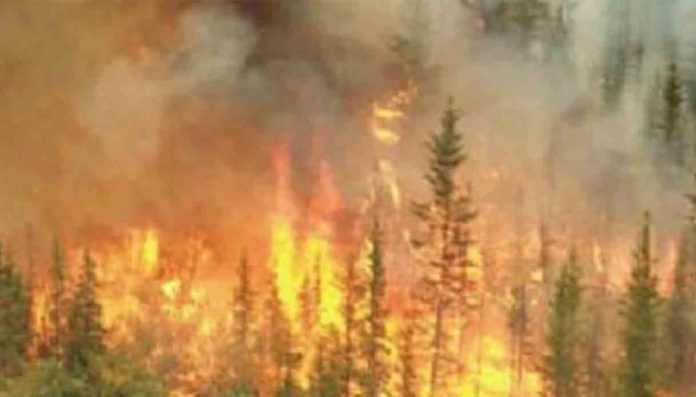 Piemonte, esteso a tutto il territorio regionale lo stato di emergenza per incendi boschivi e siccità