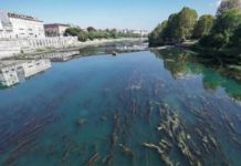 Piemonte verso lo stato di emergenza per crisi idrica Piemonte verso lo stato di emergenza per crisi idrica