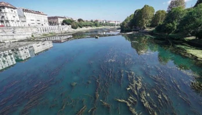 Piemonte verso lo stato di emergenza per crisi idrica Piemonte verso lo stato di emergenza per crisi idrica