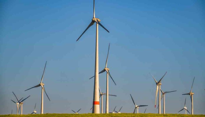 Rinnovabili, nel 2025 coprono il 20,5% dei consumi- per il target 2030 serve un'accelerazione Rinnovabili, nel 2025 coprono il 20,5% dei consumi: per il target 2030 serve un'accelerazione